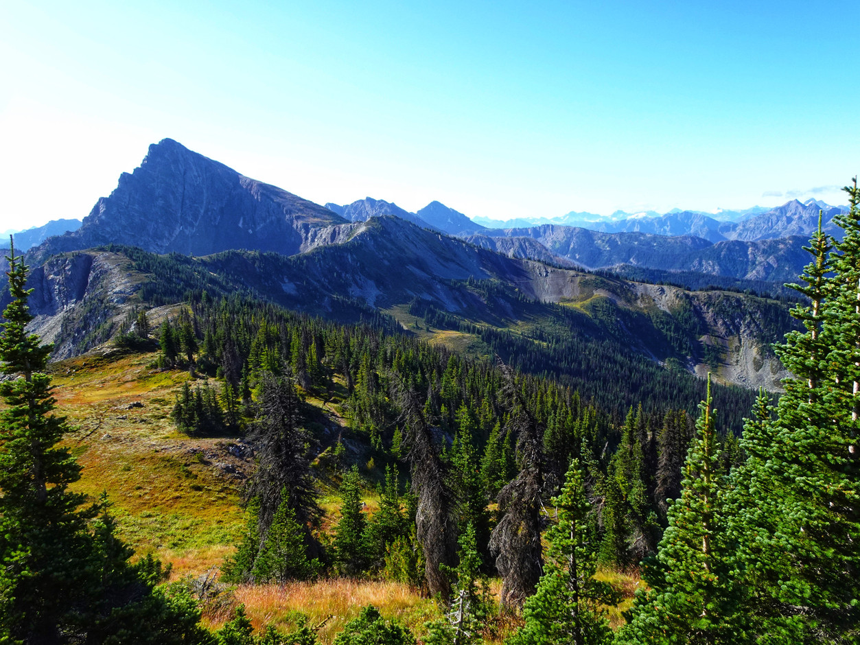 Photos from the PCT                                                         Guy Christen