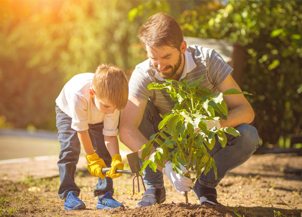 Le jeu peut opposer deux familles, par exemple, autour de petits gestes du quotidien, comme planter un arbre ou une plante. (Photo: Shutterstock)