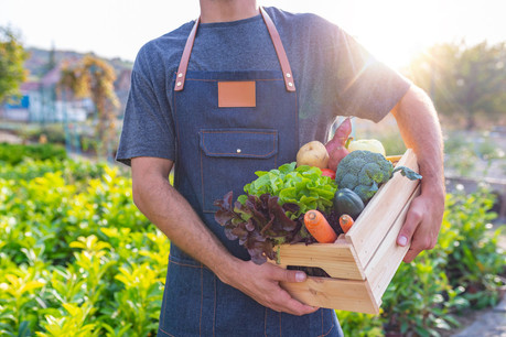 Il est tout à fait possible d’incorporer les trois facteurs – environnement, équité et santé – dans son alimentation, selon Natur&emwëlt. (Photo: Shutterstock)