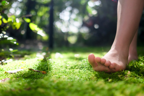 Le sentier «pieds nus» fait environ 745 mètres de long, et le site comporte également un parc de motricité. (Photo: Shutterstock)