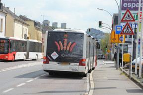 Binsfeld pour Cobolux ((Photo: Cobolux))