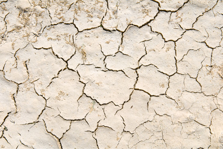 La terre craque, affirme le Giec, dans le deuxième des trois rapports qu’il a rendus jeudi 8 août au matin. Et les hommes politiques doivent réorienter leur programme. Une question environnementale, mais aussi de sécurité alimentaire. (Photo: Shutterstock)