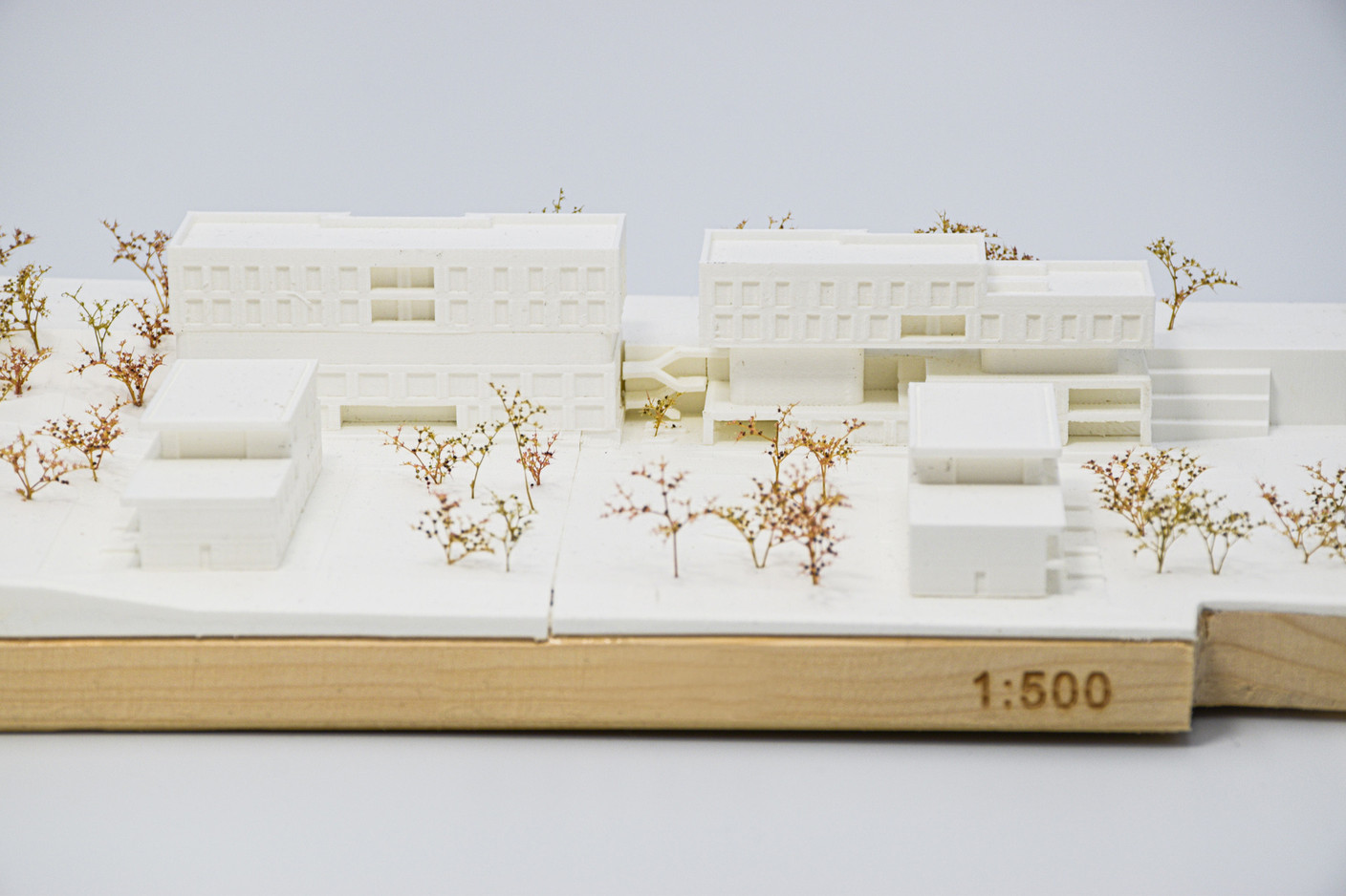 Les constructions sont conçues pour suivre la déclivité du terrain. (Illustration: Metaform architects)