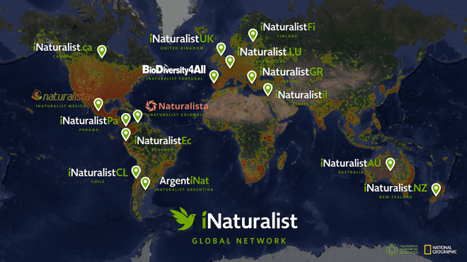  iNaturalist compte 14 relais nationaux dans le monde. (Illustration: iNaturalist)