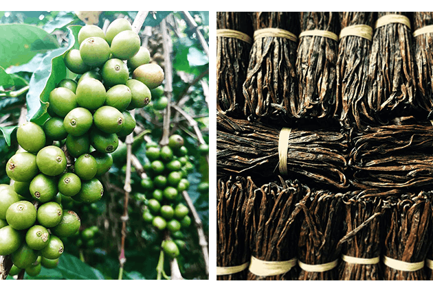 Monaco Resources is developing sustainable agriculture in Madagascar and Indonesia. (Crédit: Monaco Resources)