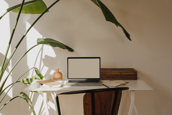 In the battle for talent, remote working can tip the balance. Its significance in the competition between the public and private sectors has yet to be assessed. (Photo: Shutterstock)
