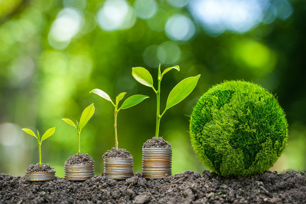 In 2022, developed countries, including Luxembourg, mobilised and provided $115.9bn for the climate. Photo: Shutterstock