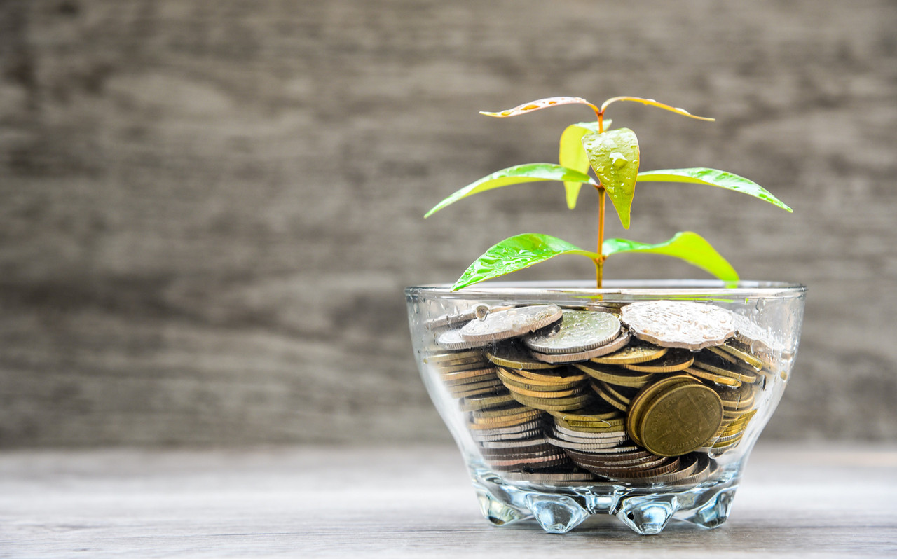 Within the wider category of sustainable bonds, green bonds continue to dominate, with a cumulative outstanding amount of $1.6trn and $522.7bn raised in 2021. Photo: Shutterstock