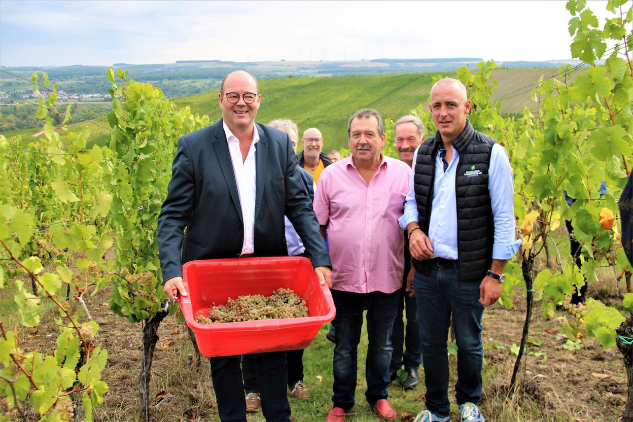 Claude Haagen in the Wellenstein vineyards with Ern Schumacher, president of the organisation of professional independent winemakers, and Josy Gloden, president of Domaines Vinsmoselle, 13 September 2022. Photo: MA