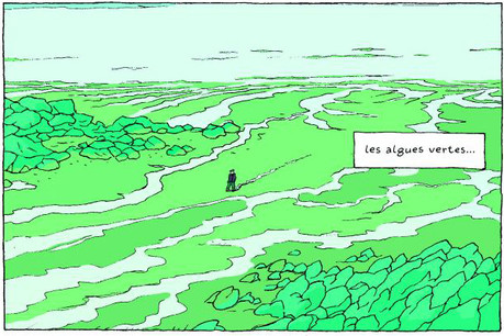 Les algues vertes dégageraient, en se décomposant, un poison aussi radical que le cyanure. (Illustration: Éditions Delcourt)