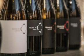 Networking Circle : Surprises Vinicoles - 04.02.2020 ((Photo: Jan Hanrion /Maison Moderne))
