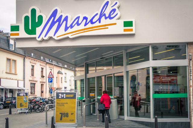 cactus maßstabsrechner Kakteen-Gemälde Blüten Rosa Türkis