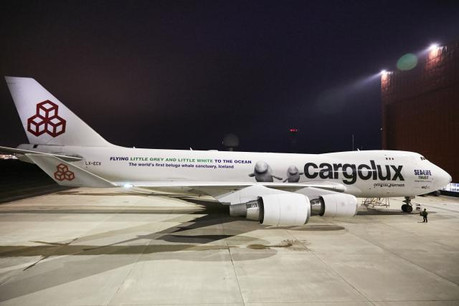 Un avion aux motifs uniques pour un voyage unique. (Photo: Cargolux)
