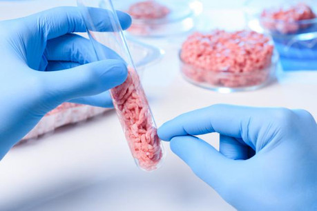 Sur le papier, la culture in vitro est séduisante: pas d’abattage de bêtes, davantage de terres cultivables, de la viande pour les 10 milliards d’êtres humains qui peupleront la Terre en 2050. (Photo: Fotolia / Dmytro Sukharevskyi)