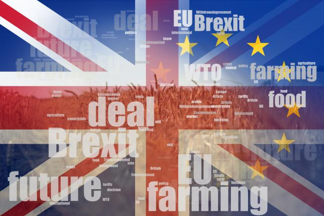 Le Brexit peut susciter des craintes, notamment au sein des entreprises qui travaillent peu avec les pays situés hors de l’Union européenne. (Photo: Shutterstock)