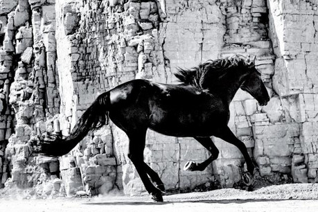 3_the_legend_rosport_poster_campaign5.jpg