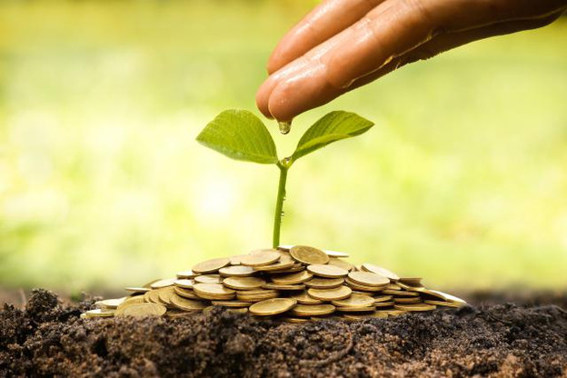  (Photo: European American Enterprise Council)