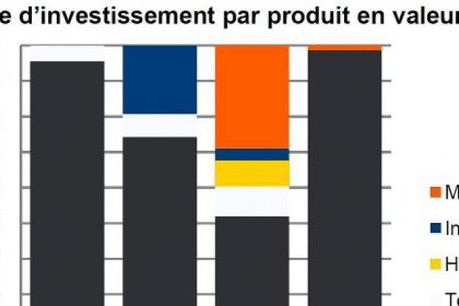 La majeure partie des investissements a été réalisée par des investisseurs locaux privés, family funds et family office. (Graphique: DTZ Research)