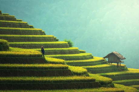 Les titres de l’ADBC seront les premières obligations vertes échangées sur le marché interbancaire chinois à être affichées sur le Luxembourg Green Exchange (LGX). (Photo: Bourse de Luxembourg)