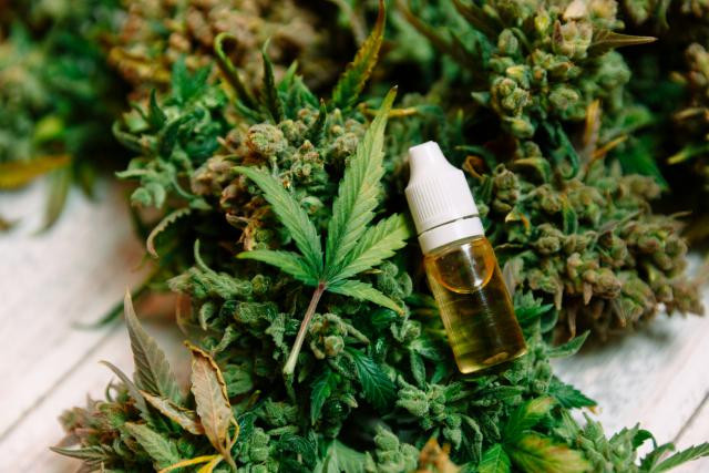 Selon Arcview Market Research, le marché du cannabis à usage médical ou récréatif pourrait atteindre 22,6 milliards de dollars en 2021 aux États-Unis. (Photo: Victoria)