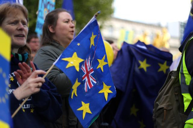 pro-eu_rally_birmingham_england_during_the_conservative_party_conference_09.jpg