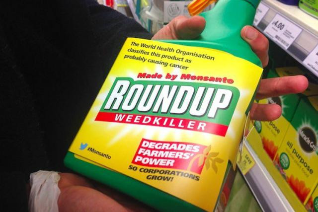 C’est une victoire pour Monsanto, dont le Roundup va pouvoir continuer à être commercialisé pour cinq années supplémentaires dans l’Union européenne. (Photo: DR)