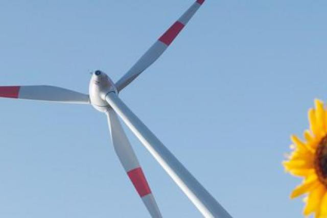 Enovos consacre 30% de ses investissements à l'énergie renouvelable. (Photo: Enovos)