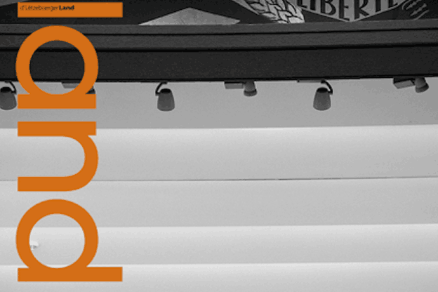 Dans ce numéro, le Land revient notamment sur la campagne d'amendement de la Confédération des fonctionnaires publics. (Photo: d'Lëtzebuerger Land)