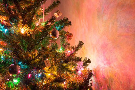 Le Nordmann reste de loin le sapin le plus demandé. (Photo: Shutterstock)