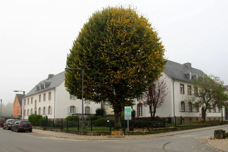 La Commission des sites et monuments a jugé les bâtiments dignes de protection, mais la SNHBM juge trop coûteuse leur rénovation douce. (Photo: Etude Jean-Jacques Schonckert)