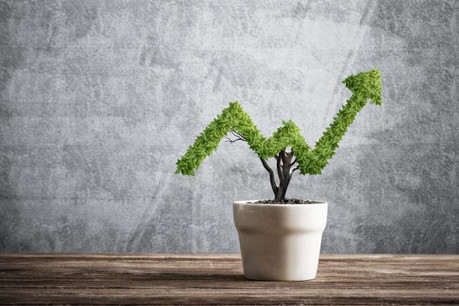 La semaine dernière, Luxflag a annoncé que le premier fonds domicilié en Allemagne avait reçu un label ESG: UniNachhaltig Aktien Global. (Photo: Shutterstock)
