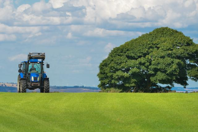 Si la nouvelle loi agraire a été votée ce jeudi, de nombreuses questions subsistent quant à l'avenir de l'agriculture luxembourgeoise. (Photo: DR)