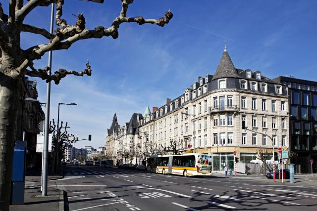 Les 49 platanes et 23 cerisiers de l’avenue de la Liberté seront remplacés par de nouveaux arbres une fois la réorganisation réalisée. (Photo: Olivier Minaire / archives)