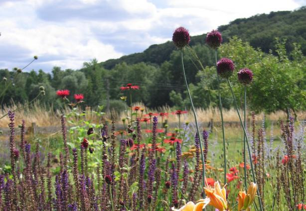 
	Fiona Hampton: “Garden designers give you ideas you hadn’t thought of”
 Fiona Hampton