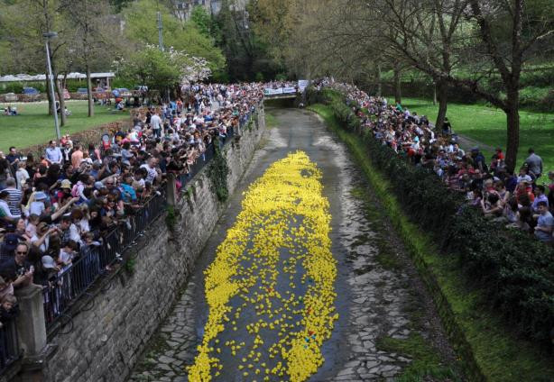 duck-race-table-ronde.jpg