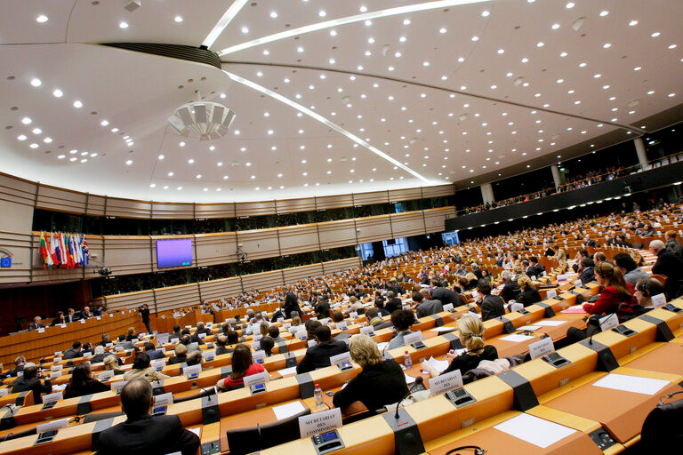 European Parliament elections are scheduled to take place from 6 to 9 June 2024. Photo: EU
