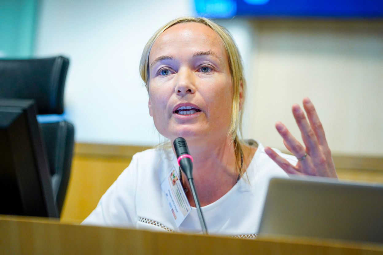 Mirjam Wolfrum of CDP Europe, the NGO formerly known as the Carbon Disclosure Project, says investors should be thinking of a company’s journey rather than purely about divestment. Photo: European Economic and Social Committee (2019)
