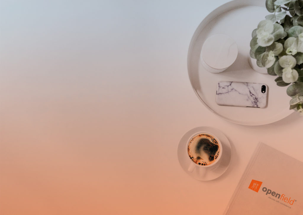 Il y a du nouveau chez OpenField. (Photo: OpenField)