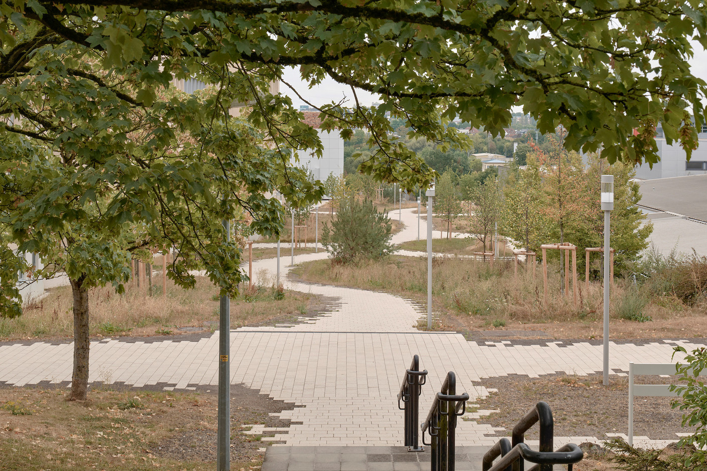Un nouveau concept paysager est développé sur l’ensemble du campus. (Photo: Eric Chenal)