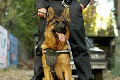 À la Gare et à Bonnevoie, chaque patrouille sera composée de deux agents et d’un chien. (Photo: Shutterstock)