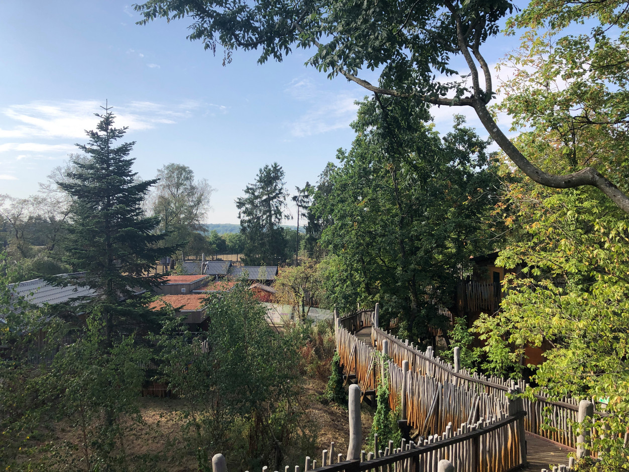 La vue depuis la terrasse donne sur le parc animalier. On devine au loin les daims et les sangliers. (Photo: Paperjam.lu)