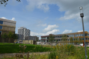Heading north, green spaces and modern architecture create a different atmosphere. Photo: Maëlle Hamma/Maison Moderne