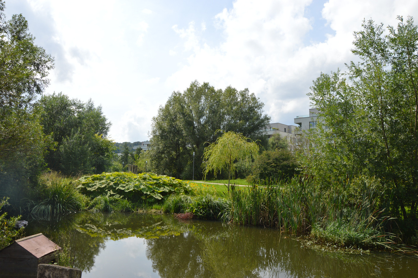 A stone’s throw away: the Parc de la Chiers provides green spaces for residents. Photo: Maëlle Hamma/Maison Moderne