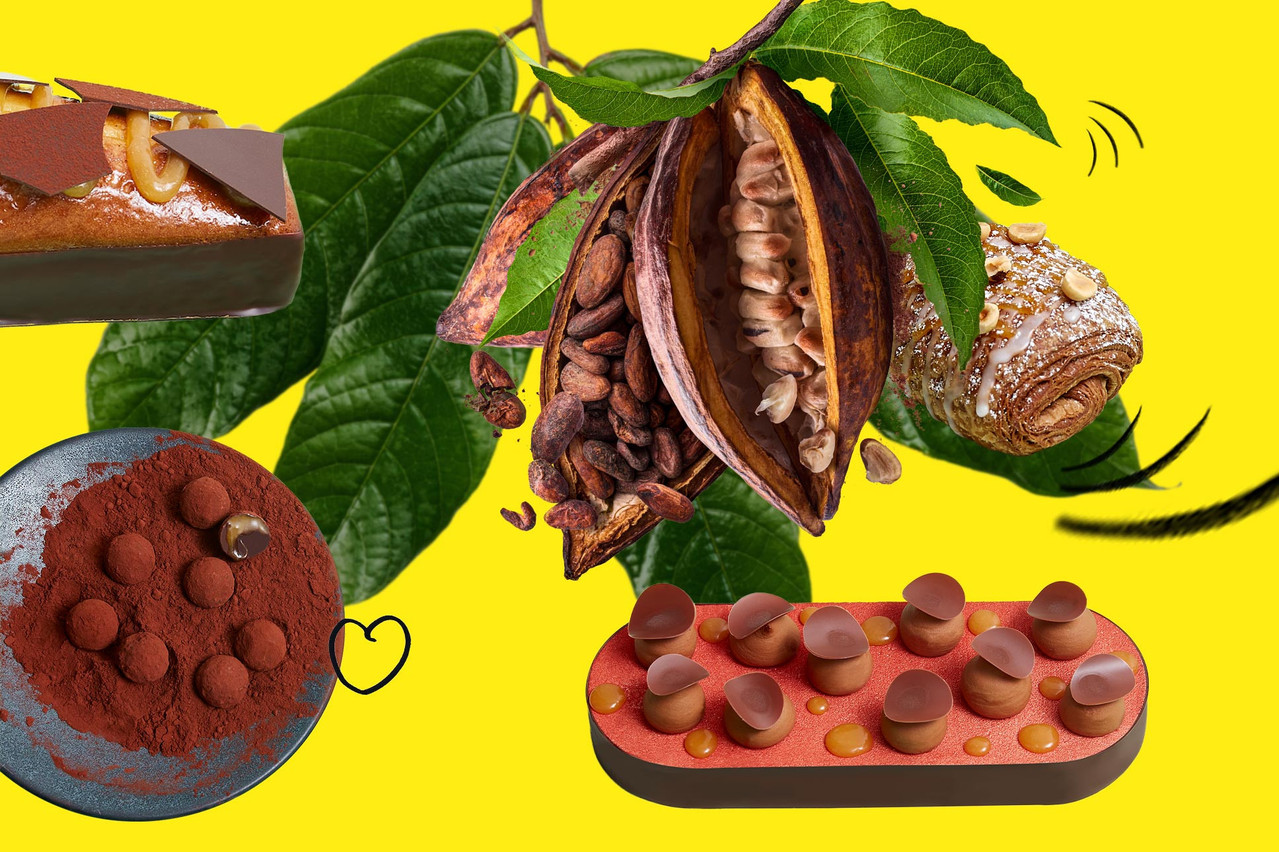 Oberweis travaille à présent le koa, un jus issu de la pulpe de cacao, sous forme de caramel dans une nouvelle gamme de douceurs, avec quelques références véganes. (Design: Sascha Timplan/Maison Moderne)