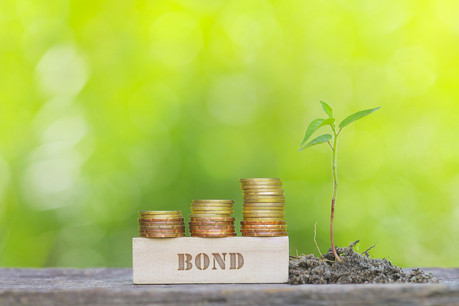 Si, prochainement, le gouvernement lance une obligation définie comme «durable», il devra affecter l’argent obtenu uniquement à des secteurs éligibles: construction de bâtiments verts, transition énergétique, développement d’un transport à faible émission de carbone… (Photo: Shutterstock)