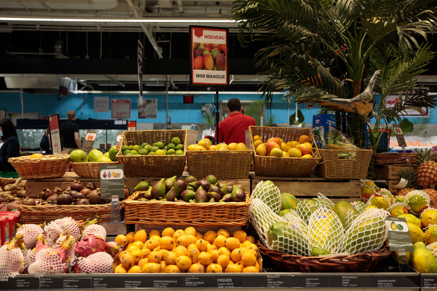 Efforts still need to be made in terms of the consumption of fruits and vegetables, found the OECD health report published on 5 December. 48% of adults in Luxembourg do not eat fruits and vegetables daily. Photo: Matic Zorman / Maison Moderne