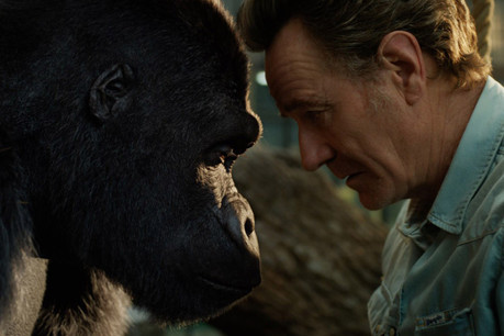 Disney+ attend beaucoup de son «The One and Only Ivan», le gorille au gros cœur, bientôt disponible. (Photo: Disney+)