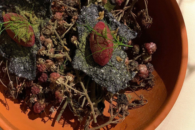 Une cuisine végétale unique, qui ne transige ni sur la surprise, ni sur la gourmandise: voilà l’atout premier du chef René Mathieu et de son équipe au château de Bourglinster… (Photo: Maison Moderne)