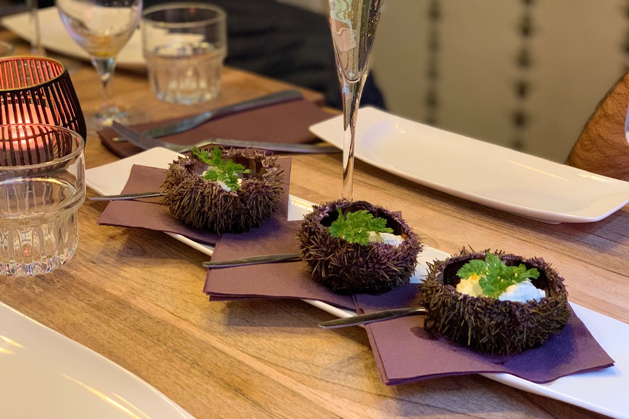 La nouvelle carte du Bellamy, très réussie, met en avant une démarche largement axée sur les beaux produits de saison: oursins, Saint-Jacques, chevreuil…  (Photo: Maison Moderne)