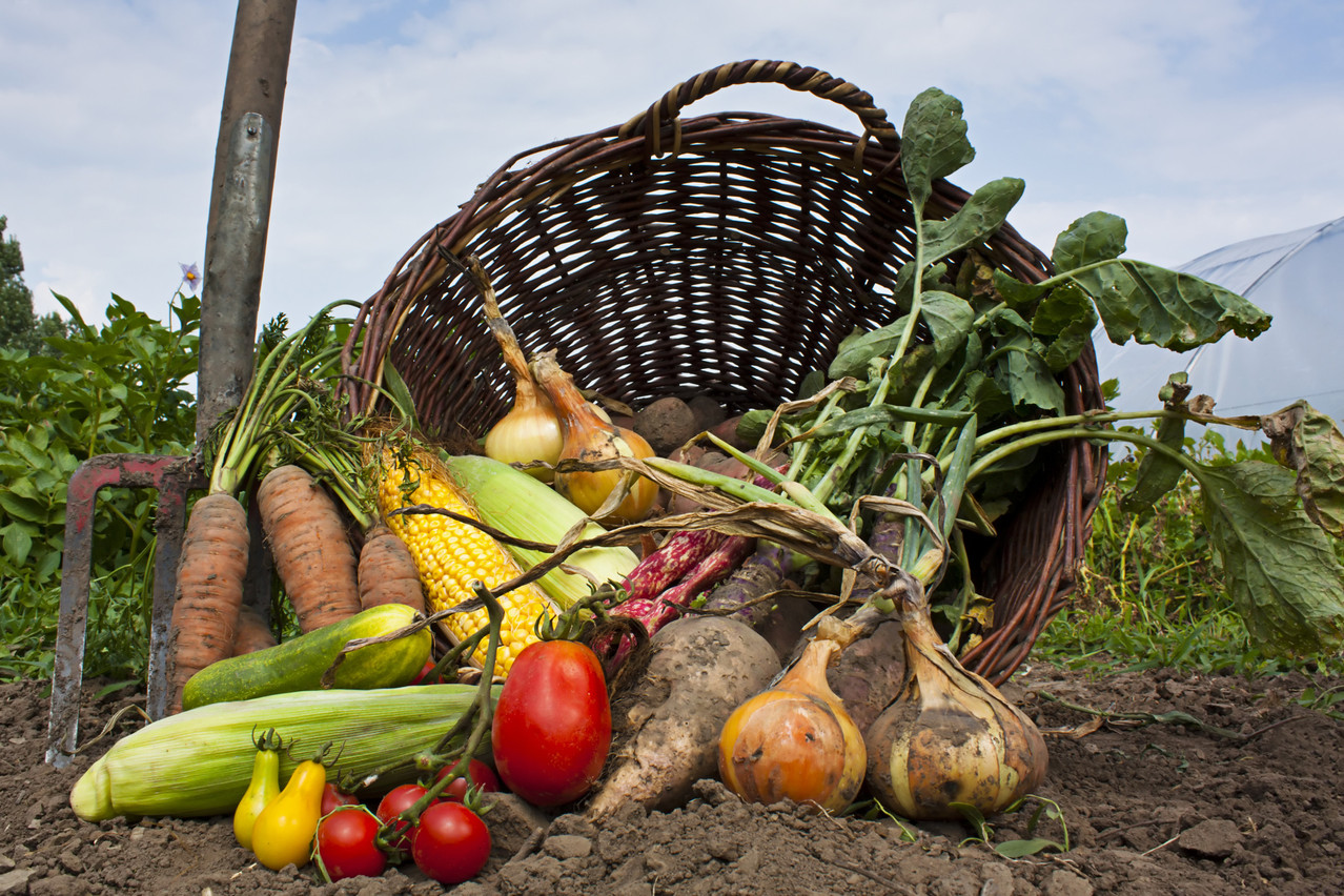 Unless a revolution in farming practices occurs over the next 2 years, Luxembourg is unlikely to meet its own target for 20% of organic farmlands.  Photo: Shutterstock